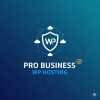 Pro Business WP Hosting plan delivering professional WordPress hosting, robust security, optimized performance, and scalable resources for growing businesses.