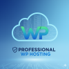 Professional WP Hosting plan offering reliable WordPress hosting, enhanced security, optimized performance, and scalable resources for business websites.