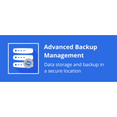 Advanced Backup Management