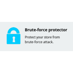 Brute-force protector