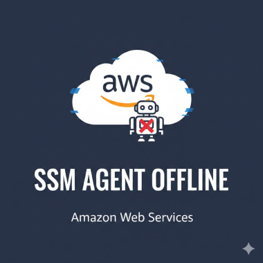 SSM agent offline.