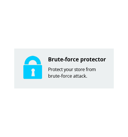 Brute-force protector