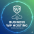 Business WP Hosting plan providing professional WordPress hosting, enhanced security, and scalable resources for growing businesses.