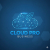 Cloud Pro Business – professional cloud hosting solution for secure, scalable, and high-performance business operations